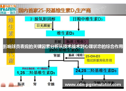 影响球员表现的关键因素分析从技术战术到心理状态的综合作用