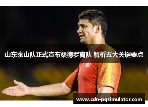 山东泰山队正式宣布桑德罗离队 解析五大关键要点