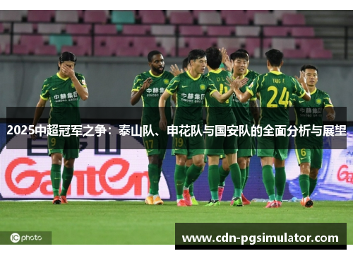 2025中超冠军之争：泰山队、申花队与国安队的全面分析与展望