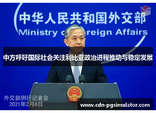 中方呼吁国际社会关注利比亚政治进程推动与稳定发展