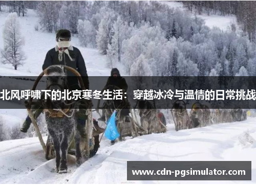 北风呼啸下的北京寒冬生活：穿越冰冷与温情的日常挑战