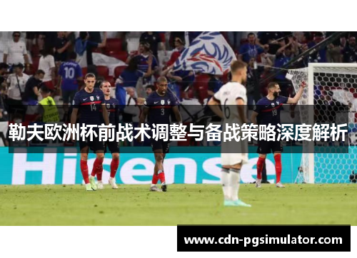 勒夫欧洲杯前战术调整与备战策略深度解析