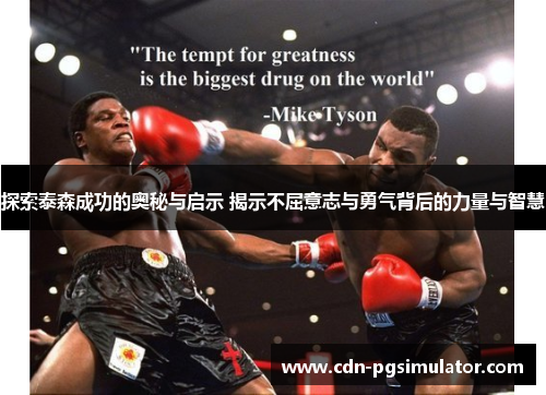探索泰森成功的奥秘与启示 揭示不屈意志与勇气背后的力量与智慧