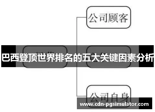 巴西登顶世界排名的五大关键因素分析