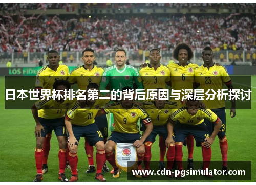 日本世界杯排名第二的背后原因与深层分析探讨