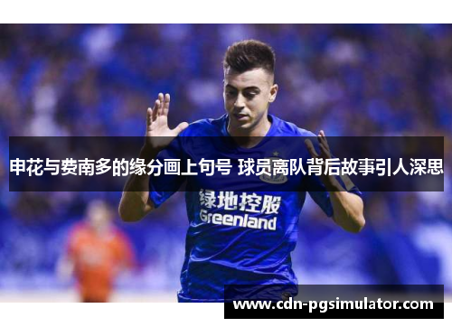 申花与费南多的缘分画上句号 球员离队背后故事引人深思