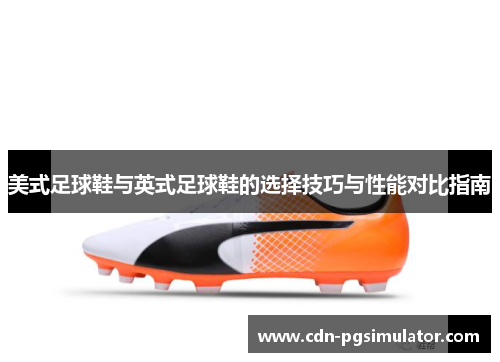 美式足球鞋与英式足球鞋的选择技巧与性能对比指南