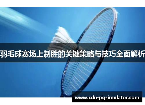 羽毛球赛场上制胜的关键策略与技巧全面解析