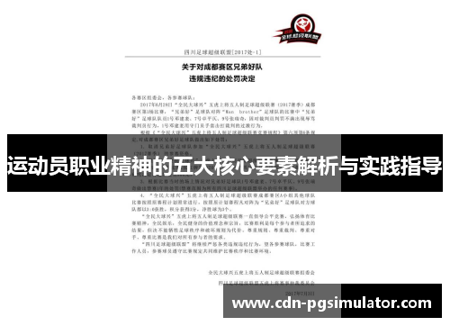 运动员职业精神的五大核心要素解析与实践指导