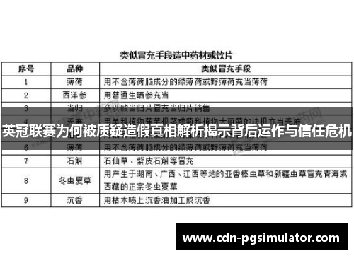 英冠联赛为何被质疑造假真相解析揭示背后运作与信任危机