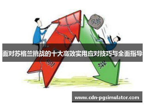 面对苏格兰挑战的十大高效实用应对技巧与全面指导