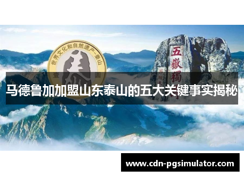 马德鲁加加盟山东泰山的五大关键事实揭秘