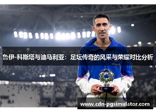 鲁伊-科斯塔与迪马利亚：足坛传奇的风采与荣耀对比分析